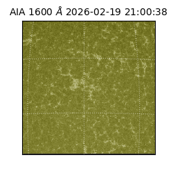 saia - 2026-02-19T21:00:38.117000