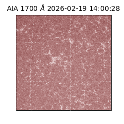 saia - 2026-02-19T14:00:28.717000