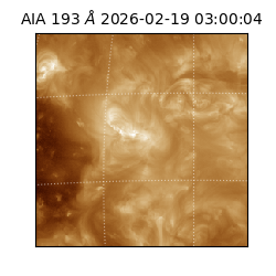saia - 2026-02-19T03:00:04.844000