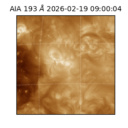 saia - 2026-02-19T09:00:04.843000