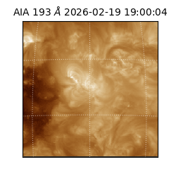 saia - 2026-02-19T19:00:04.843000
