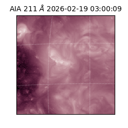 saia - 2026-02-19T03:00:09.626000