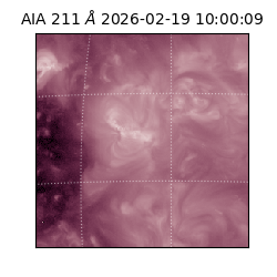 saia - 2026-02-19T10:00:09.632000