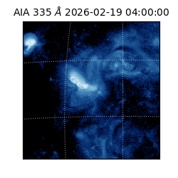 saia - 2026-02-19T04:00:00.631000