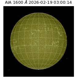 saia - 2026-02-19T03:00:14.126000