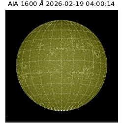 saia - 2026-02-19T04:00:14.131000