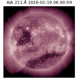 saia - 2026-02-19T06:00:09.626000