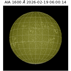 saia - 2026-02-19T06:00:14.118000