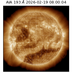 saia - 2026-02-19T08:00:04.842000