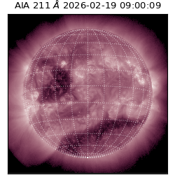 saia - 2026-02-19T09:00:09.632000