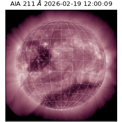 saia - 2026-02-19T12:00:09.624000