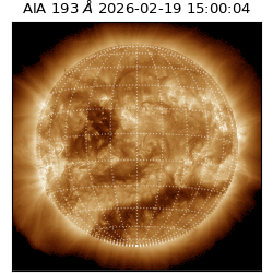 saia - 2026-02-19T15:00:04.843000