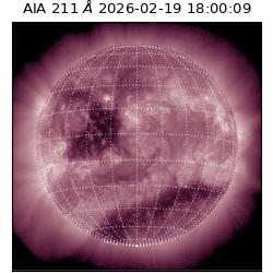 saia - 2026-02-19T18:00:09.618000