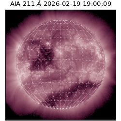 saia - 2026-02-19T19:00:09.626000