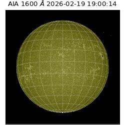 saia - 2026-02-19T19:00:14.125000