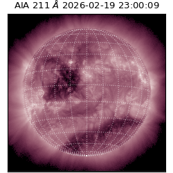 saia - 2026-02-19T23:00:09.626000