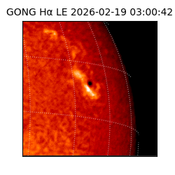 gong - 2026-02-19T03:00:42