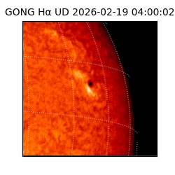 gong - 2026-02-19T04:00:02