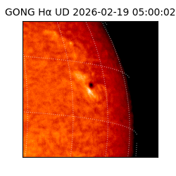 gong - 2026-02-19T05:00:02