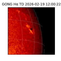 gong - 2026-02-19T12:00:22