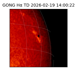 gong - 2026-02-19T14:00:22