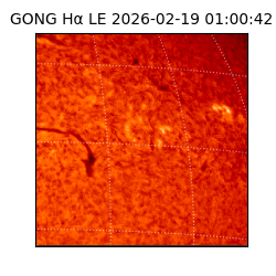 gong - 2026-02-19T01:00:42
