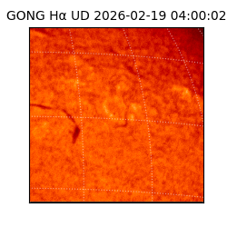 gong - 2026-02-19T04:00:02