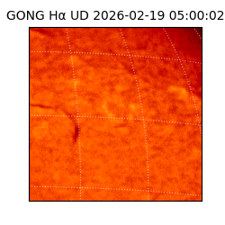gong - 2026-02-19T05:00:02