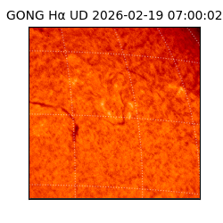 gong - 2026-02-19T07:00:02
