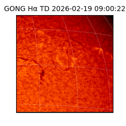 gong - 2026-02-19T09:00:22