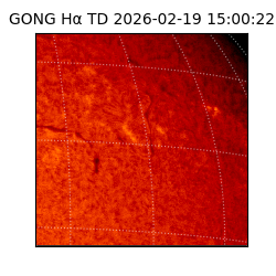 gong - 2026-02-19T15:00:22