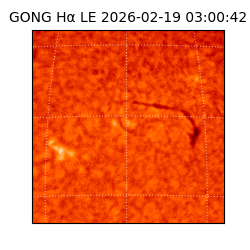 gong - 2026-02-19T03:00:42