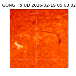 gong - 2026-02-19T05:00:02