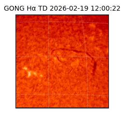 gong - 2026-02-19T12:00:22