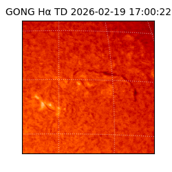gong - 2026-02-19T17:00:22