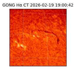 gong - 2026-02-19T19:00:42