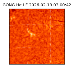 gong - 2026-02-19T03:00:42