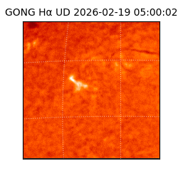 gong - 2026-02-19T05:00:02
