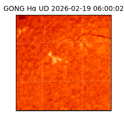 gong - 2026-02-19T06:00:02