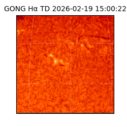 gong - 2026-02-19T15:00:22