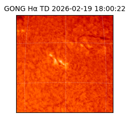 gong - 2026-02-19T18:00:22