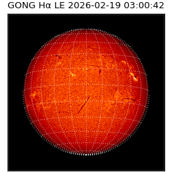gong - 2026-02-19T03:00:42