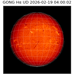 gong - 2026-02-19T04:00:02