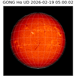 gong - 2026-02-19T05:00:02