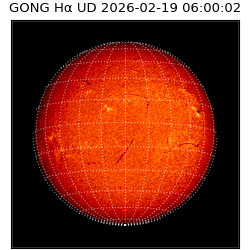 gong - 2026-02-19T06:00:02