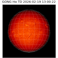 gong - 2026-02-19T13:00:22