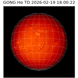 gong - 2026-02-19T18:00:22