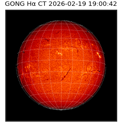 gong - 2026-02-19T19:00:42