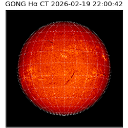 gong - 2026-02-19T22:00:42