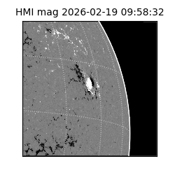 shmi - 2026-02-19T09:58:32.400000